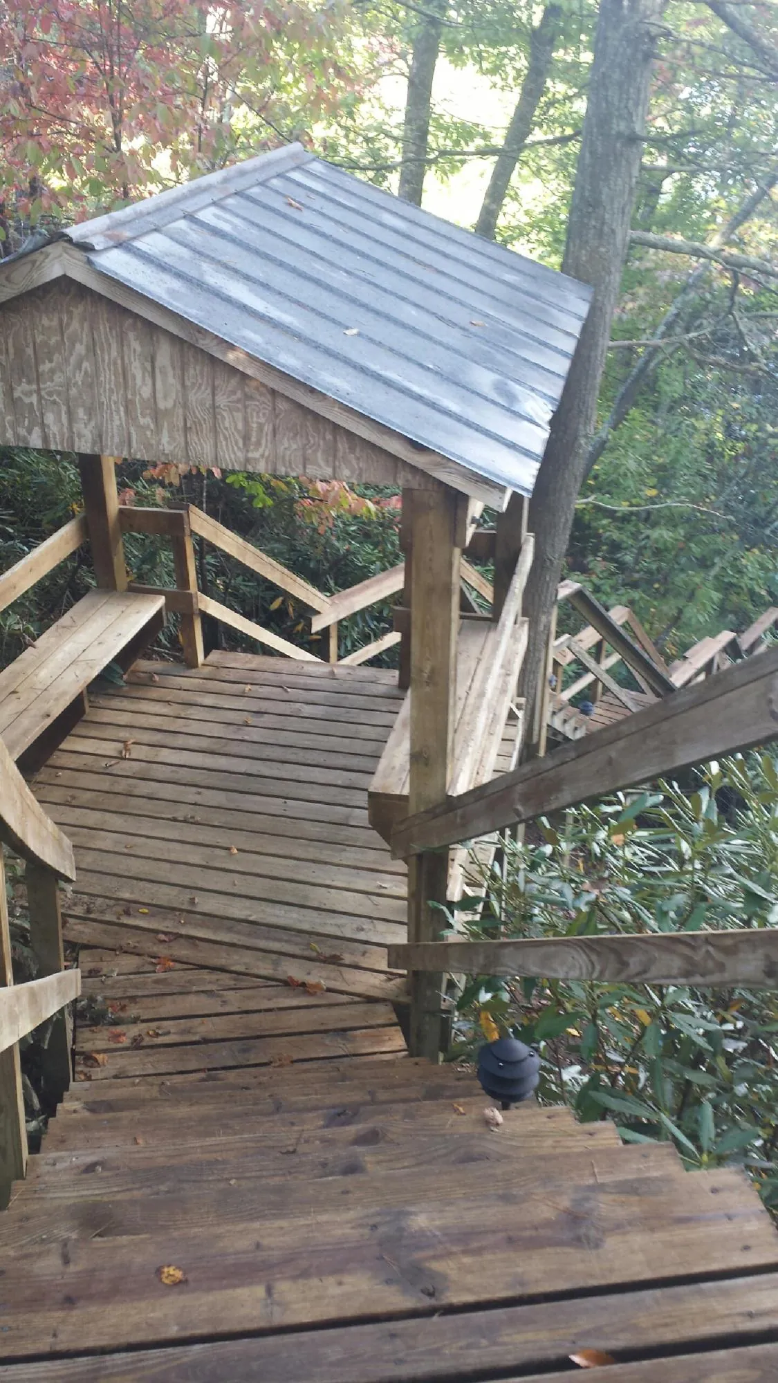 Metal roofed shelter over wooden steps on a wooded walkway — Skylight Repair & Installation work by our crew in Deming