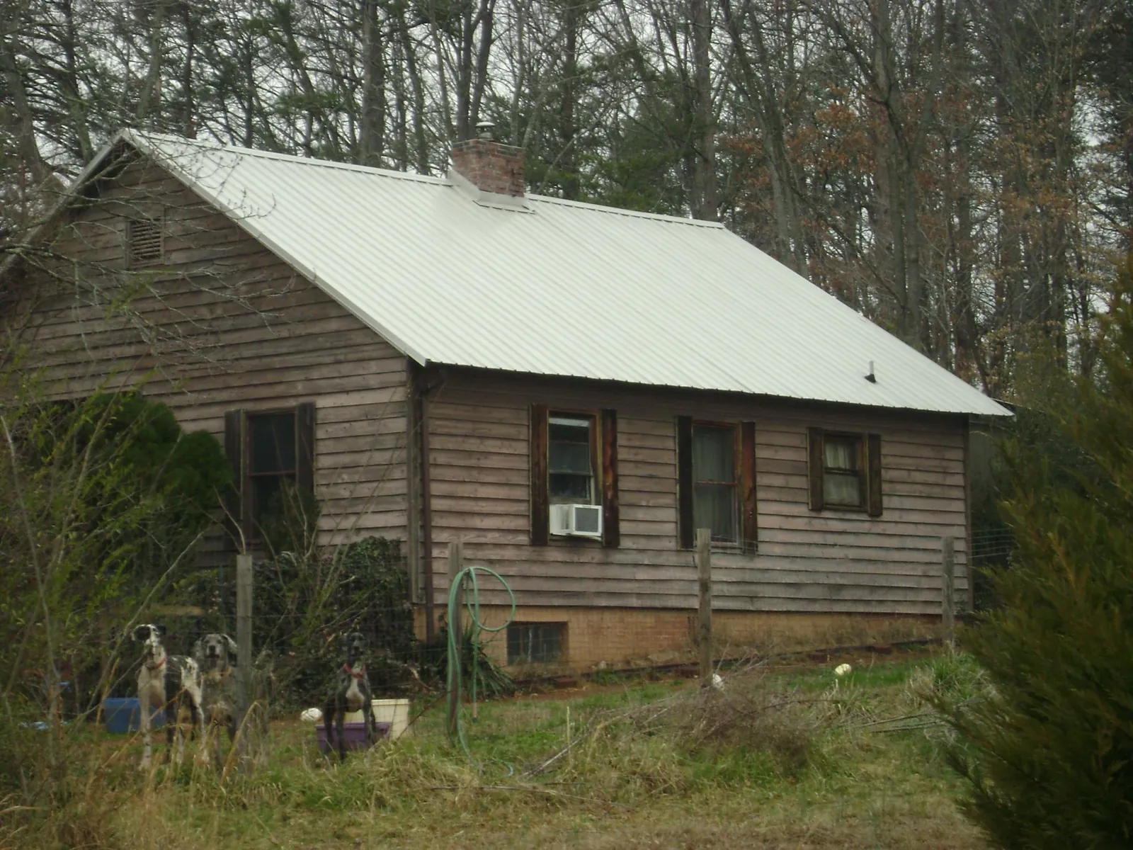 White metal roof on an old wood sided farmhouse, from a Asphalt Shingle Roof Repair job in Deming